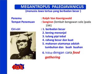 MEGANTROPUS PALEOJAVANICUS
(manusia Jawa tertua yang berbadan besar )
Penemu : Ralph Von Koenigswald
Tempat Penemuan : Sangiran (lembah bengawan solo )pada
1941
Ciri-ciri : 1. berbadan besar
2. kening menonjol
3. tulang pipi tebal
4. rahang besar dan kuat
5. makanan utamanya adalah
tumbuhan dan buah buahan
6. hidup dengan cara food
gathering
 