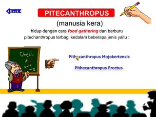 PITECANTHROPUS
(manusia kera)
hidup dengan cara food gathering dan berburu
pitechanthropus terbagi kedalam beberapa jenis yaitu :
Pithecanthropus Mojokertensis
Pithecanthropus Erectus
 