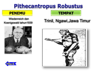 Wiedenreich dan
Koenigswald tahun1939 Trinil, Ngawi,Jawa Timur
 