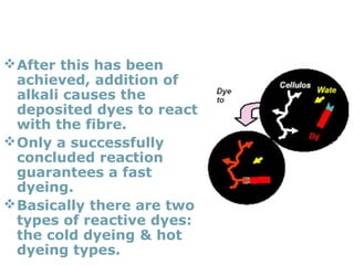 2004
24
REACTIVE DYES
After this has been
achieved, addition of
alkali causes the
deposited dyes to react
with the fibre.
Only a successfully
concluded reaction
guarantees a fast
dyeing.
Basically there are two
types of reactive dyes:
the cold dyeing & hot
dyeing types.
 