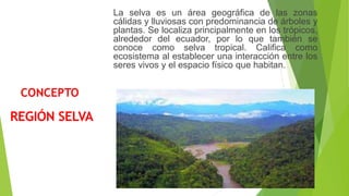 CONCEPTO
La selva es un área geográfica de las zonas
cálidas y lluviosas con predominancia de árboles y
plantas. Se localiza principalmente en los trópicos,
alrededor del ecuador, por lo que también se
conoce como selva tropical. Califica como
ecosistema al establecer una interacción entre los
seres vivos y el espacio físico que habitan.
REGIÓN SELVA
 