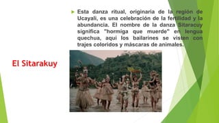 El Sitarakuy
 Esta danza ritual, originaria de la región de
Ucayali, es una celebración de la fertilidad y la
abundancia. El nombre de la danza Sitaracuy
significa "hormiga que muerde" en lengua
quechua, aquí los bailarines se visten con
trajes coloridos y máscaras de animales.
 