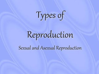 Types of
Reproduction
Sexual and Asexual Reproduction
 
