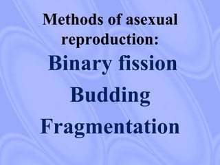 Methods of asexual
reproduction:
Binary fission
Budding
Fragmentation
 