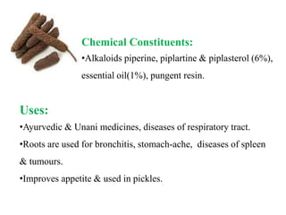 Chemical Constituents:
•Alkaloids piperine, piplartine & piplasterol (6%),
essential oil(1%), pungent resin.
Uses:
•Ayurvedic & Unani medicines, diseases of respiratory tract.
•Roots are used for bronchitis, stomach-ache, diseases of spleen
& tumours.
•Improves appetite & used in pickles.
 