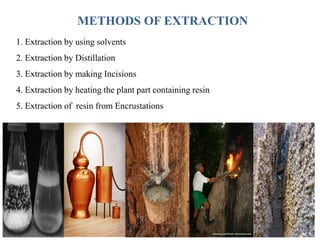 METHODS OF EXTRACTION
1. Extraction by using solvents
2. Extraction by Distillation
3. Extraction by making Incisions
4. Extraction by heating the plant part containing resin
5. Extraction of resin from Encrustations
 