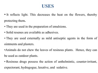 USES
• It reflects light. This decreases the heat on the flowers, thereby
protecting them.
• They are used in the preparation of emulsions.
• Solid resenes are available as adhesives.
• They are used externally as mild antiseptic agents in the form of
ointments and plasters.
•Animals do not chew the leaves of resinous plants. Hence, they can
be used as outdoor plants.
• Resinous drugs possess the action of anthelmintic, counter-irritant,
expectorant, hydragogue, laxative, and sedative.
 