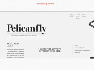 pelicanfly.co.uk
 