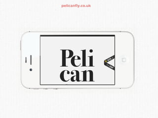 pelicanfly.co.uk
 