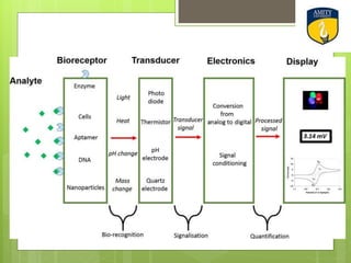 History of the biosensors and applications