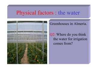 Physical factors : the water
Greenhouses in Almeria.
Q2: Where do you think
the water for irrigation
comes from?
 