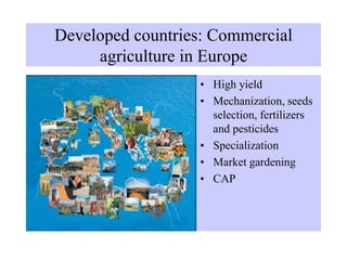 Developed countries: Commercial
agriculture in Europe
• High yield
• Mechanization, seeds
selection, fertilizers
and pesticides
• Specialization
• Market gardening
• CAP
 