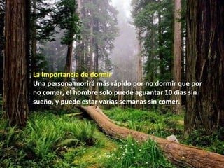 La importancia de dormir
Una persona morirá más rápido por no dormir que por
no comer, el hombre solo puede aguantar 10 días sin
sueño, y puede estar varias semanas sin comer.
 