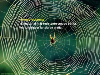 El mas resistente
El material más resistente creado por la
naturaleza es la tela de araña.
 