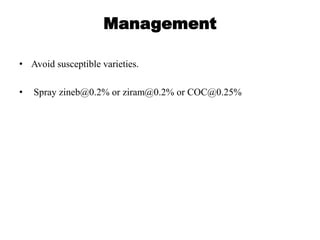 Management
• Avoid susceptible varieties.
• Spray zineb@0.2% or ziram@0.2% or COC@0.25%
 