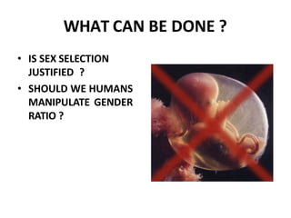 WHAT CAN BE DONE ?
• IS SEX SELECTION
JUSTIFIED ?
• SHOULD WE HUMANS
MANIPULATE GENDER
RATIO ?
 