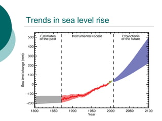 Trends in sea level rise
 