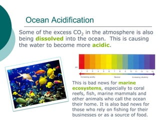 Ocean Acidification
Some of the excess CO2 in the atmosphere is also
being dissolved into the ocean. This is causing
the water to become more acidic.
This is bad news for marine
ecosystems, especially to coral
reefs, fish, marine mammals and
other animals who call the ocean
their home. It is also bad news for
those who rely on fishing for their
businesses or as a source of food.
 