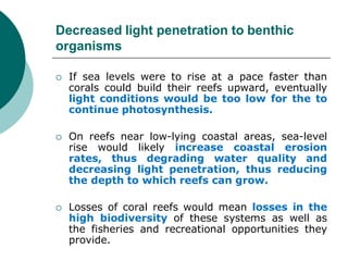 Decreased light penetration to benthic
organisms
 If sea levels were to rise at a pace faster than
corals could build their reefs upward, eventually
light conditions would be too low for the to
continue photosynthesis.
 On reefs near low-lying coastal areas, sea-level
rise would likely increase coastal erosion
rates, thus degrading water quality and
decreasing light penetration, thus reducing
the depth to which reefs can grow.
 Losses of coral reefs would mean losses in the
high biodiversity of these systems as well as
the fisheries and recreational opportunities they
provide.
 