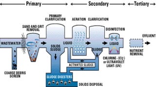 Secondary wastewater treatment