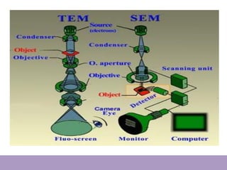 SEM,TEM & AFM