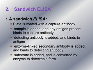 2. Sandwich ELISA
• A sandwich ELISA:
 Plate is coated with a capture antibody
 sample is added, and any antigen present
binds to capture antibody
 detecting antibody is added, and binds to
antigen
 enzyme-linked secondary antibody is added,
and binds to detecting antibody
 substrate is added, and is converted by
enzyme to detectable form.
 