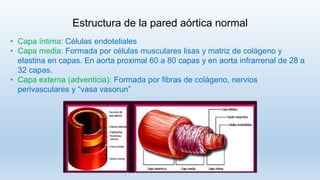 Estructura de la pared aórtica normal
• Capa íntima: Células endoteliales
• Capa media: Formada por células musculares lisas y matriz de colágeno y
elastina en capas. En aorta proximal 60 a 80 capas y en aorta infrarrenal de 28 a
32 capas.
• Capa externa (adventicia): Formada por fibras de colágeno, nervios
perivasculares y “vasa vasorun”
 