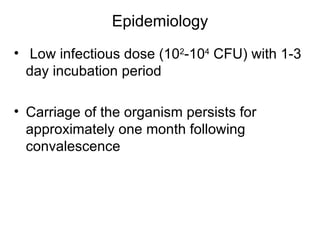 Epidemiology   Low infectious dose (10 2 -10 4  CFU) with 1-3 day incubation period Carriage of the organism persists for approximately one month following convalescence 