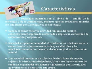 Características
Las sociedades humanas son el objeto de estudio de la
sociología y de la antropología, mientras que las sociedades animales
son estudiadas por la etología y la sociobiología.
 Supone la convivencia y la actividad conjunta del hombre,
conscientemente organizado u ordenado e implica un cierto grado de
comunicación y cooperación.
 Sociedad se opone a comunidad, al considerar las relaciones sociales
como vínculos de intereses conscientes y establecidos, y las
relaciones comunitarias como articulaciones orgánicas de formación
natural.
 Una sociedad humana es un colectivo de ciudadanos de un país,
sujetos a la misma autoridad política, las mismas leyes y normas de
conducta, organizados socialmente y gobernados por las entidades
que velan por el bienestar de este grupo.
 