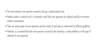 • The most common urine specimen received is the per-urethral voided urine.
• Healthy urethra is unsterile and it is extremely critical that urine specimens be collected carefully to minimise
urethral contamination.
• There are several types of urine specimens and the results of each type are determined by different guidelines.
• Therefore, it is essential that each urine specimen received by the laboratory is clearly labelled as to the type of
collection of urine specimen.
 