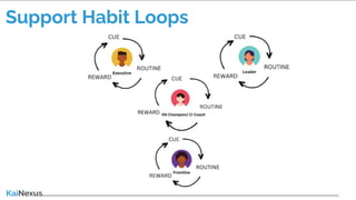 Support Habit Loops
 