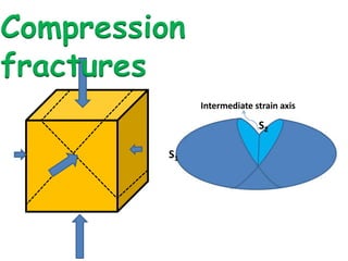 Compression
fractures
Intermediate strain axis
S2
S1
 