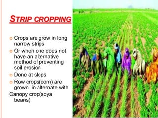 STRIP CROPPING
 Crops are grow in long
narrow strips
 Or when one does not
have an alternative
method of preventing
soil erosion
 Done at slops
 Row crops(corn) are
grown in alternate with
Canopy crop(soya
beans)
 