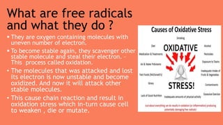 What are free radicals
and what they do ?
 They are oxygen containing molecules with
uneven number of electron.
 To become stable again, they scavenger other
stable molecule and steal their electron. –
This process called oxidation.
• The molecules that was attacked and lost
its electron is now unstable and become
oxidized. And now it will attack other
stable molecules.
• This cause chain reaction and result in
oxidation stress which in-turn cause cell
to weaken , die or mutate.
 