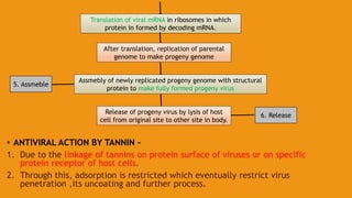 Translation of viral mRNA in ribosomes in which
protein in formed by decoding mRNA.
• ANTIVIRAL ACTION BY TANNIN -
1. Due to the linkage of tannins on protein surface of viruses or on specific
protein receptor of host cells.
2. Through this, adsorption is restricted which eventually restrict virus
penetration ,its uncoating and further process.
After translation, replication of parental
genome to make progeny genome
Assmebly of newly replicated progeny genome with structural
protein to make fully formed progeny virus
Release of progeny virus by lysis of host
cell from original site to other site in body.
5. Assmeble
6. Release
 