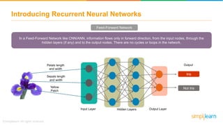 Introducing Recurrent Neural Networks
In a Feed-Forward Network like CNN/ANN, information flows only in forward direction, from the input nodes, through the
hidden layers (if any) and to the output nodes. There are no cycles or loops in the network.
Input Layer Hidden Layers Output Layer
Feed-Forward Network
Yellow
Patch
Petals length
and width
Sepals length
and width
Output
Iris
Not Iris
 