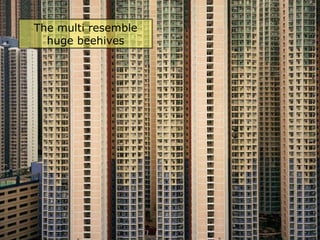 The multi resemble huge beehives 