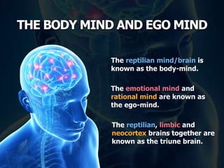 THE BODY MIND AND EGO MIND
The reptilian, limbic and
neocortex brains together are
known as the triune brain.
The reptilian mind/brain is
known as the body-mind.
The emotional mind and
rational mind are known as
the ego-mind.
 