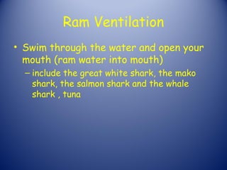 Ram Ventilation
• Swim through the water and open your
  mouth (ram water into mouth)
  – include the great white shark, the mako
    shark, the salmon shark and the whale
    shark , tuna
 