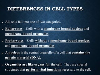 DIFFERENCES IN CELL TYPES
● All cells fall into one of two categories.
● Eukaryotes – Cells with a membrane-bound nucleus and
membrane-bound organelles.
● Prokaryotes – Cells without a membrane-bound nucleus
and membrane-bound organelles.
● A nucleus is the central organelle of a cell that contains the
genetic material (DNA).
● Organelles are like organs for the cell. They are special
structures that perform vital functions necessary to the cell.
 