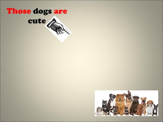 Those dogs are
cute
 