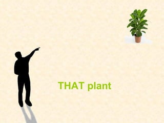 THAT plant 