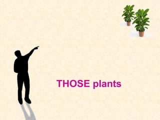 THOSE plants 