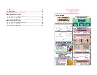 TÀI LIỆU DẠY THÊM HÓA HỌC 12 - SÁCH MỚI (BẢN HS+GV) (FORM BÀI TẬP 2025 CHUNG 3 BỘ SÁCH) (CHƯƠNG 1, 2, 3, 4 ESTER - LIPID, CARBOHYDRATE, HỢP CHẤT CHỨA NITROGEN, POLYMER).pdf