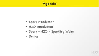 Agenda
• Spark introduction
• H2O introduction
• Spark + H2O = Sparkling Water
• Demos
 