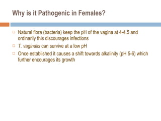 Why is it Pathogenic in Females? Natural flora (bacteria) keep the pH of the vagina at 4-4.5 and ordinarily this discourages infections T. vaginalis  can survive at a low pH Once established it causes a shift towards alkalinity (pH 5-6) which further encourages its growth 