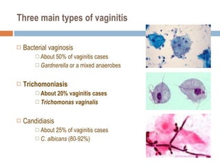 Three main types of vaginitis Bacterial vaginosis About 50% of vaginitis cases Gardnerella  or a mixed anaerobes  Trichomoniasis  About 20% vaginitis cases Trichomonas vaginalis Candidiasis  About 25% of vaginitis cases C. albicans  (80-92%) 