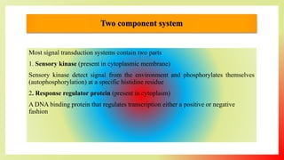 Two component system
Most signal transduction systems contain two parts
1. Sensory kinase (present in cytoplasmic membrane)
Sensory kinase detect signal from the environment and phosphorylates themselves
(autophosphorylation) at a specific histidine residue
2. Response regulator protein (present in cytoplasm)
A DNA binding protein that regulates transcription either a positive or negative
fashion
 