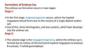 Formation of Embryo Sac
The embryo sac formation occurs in two stages:
Stage 1:
In the first stage, megasporogenesis occurs, where the haploid
megaspore tetrad forms due to the meiosis of a single diploid mother
cell.
Out of this, three disintegrates, and one sustains, which later develops
into the embryo sac.
Stage 2:
The second stage is the megagametogenesis, where the embryo sac is
formed due to mitosis of the functional haploid megaspore to produce
8-nucleate, 7-celled gametophyte.
 