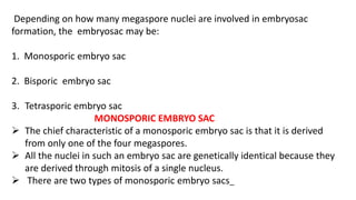 Depending on how many megaspore nuclei are involved in embryosac
formation, the embryosac may be:
1. Monosporic embryo sac
2. Bisporic embryo sac
3. Tetrasporic embryo sac
MONOSPORIC EMBRYO SAC
 The chief characteristic of a monosporic embryo sac is that it is derived
from only one of the four megaspores.
 All the nuclei in such an embryo sac are genetically identical because they
are derived through mitosis of a single nucleus.
 There are two types of monosporic embryo sacs_
 